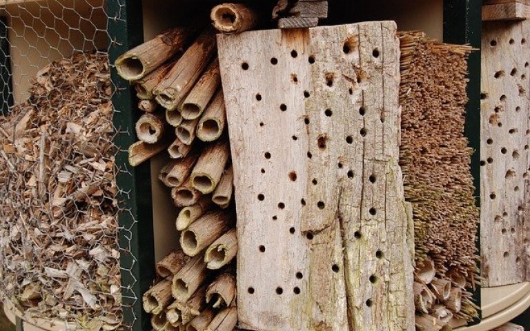 insectenhotel