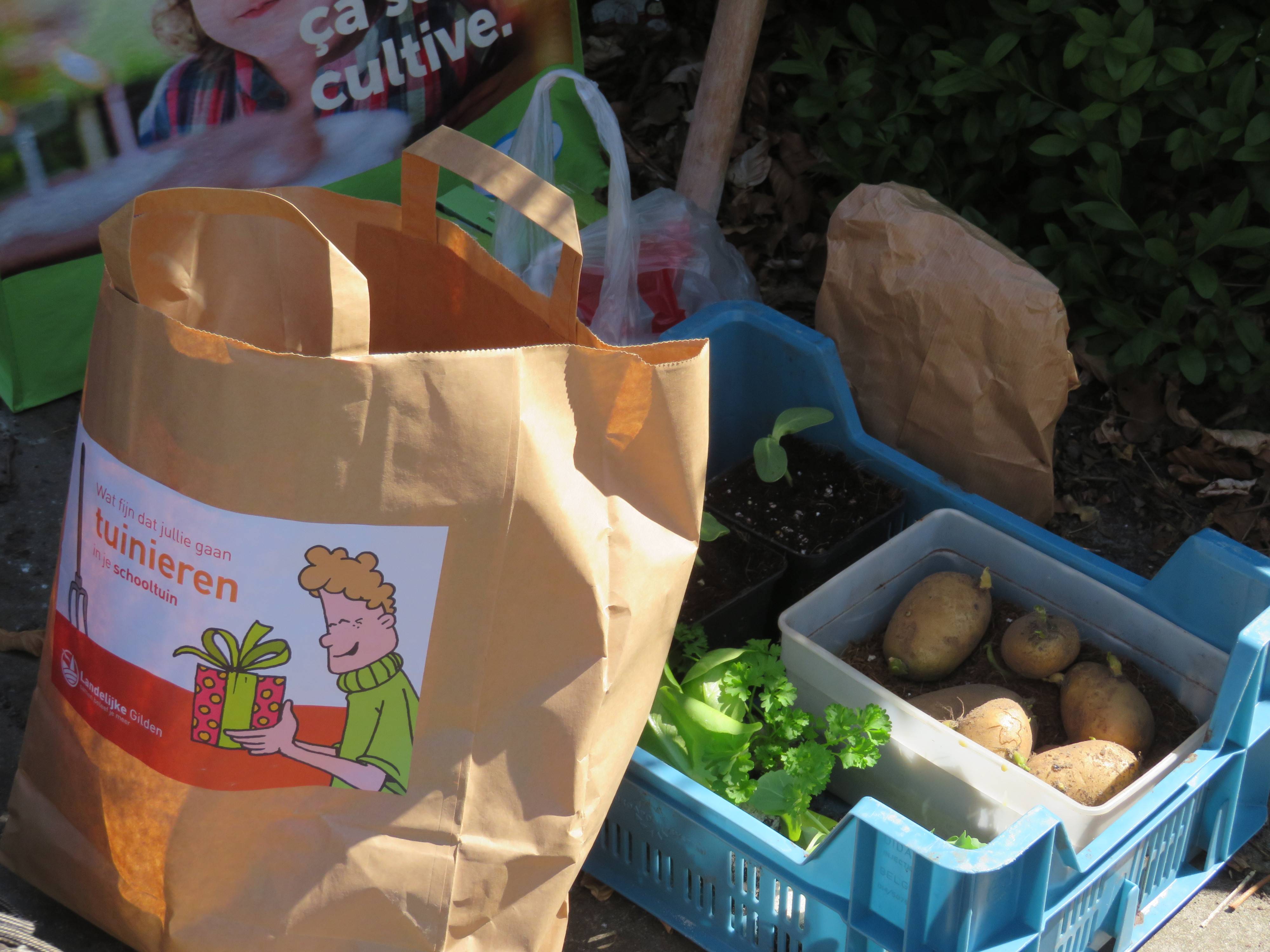 Starten met een schooltuin