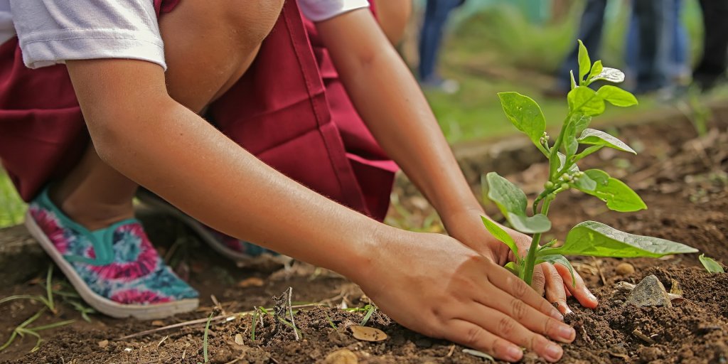 Planting