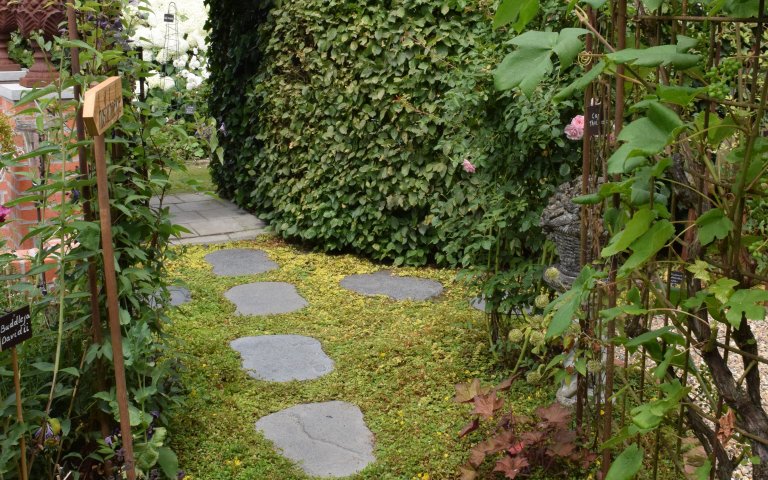 Tuin