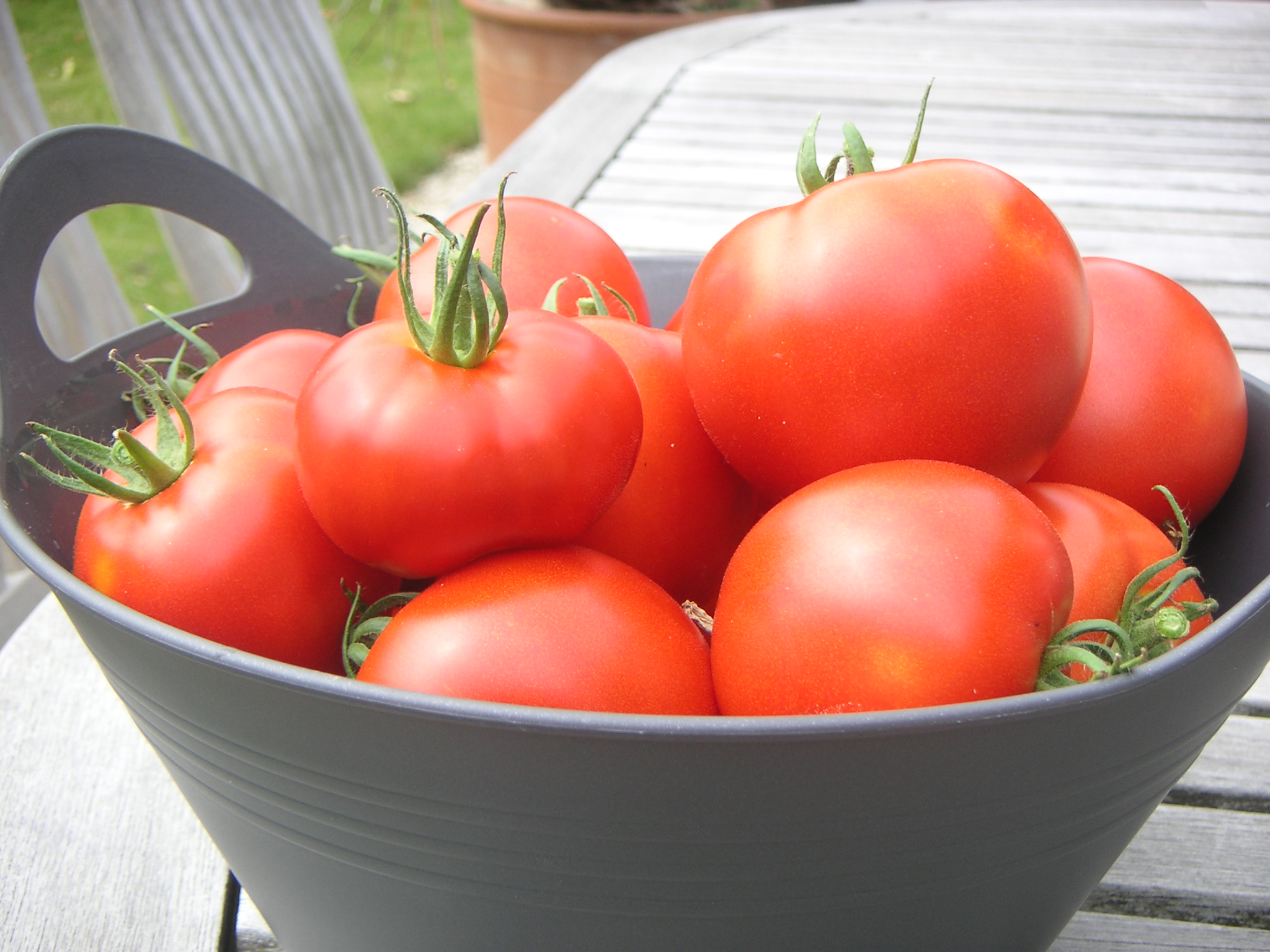 Tomaten uit eigen tuin