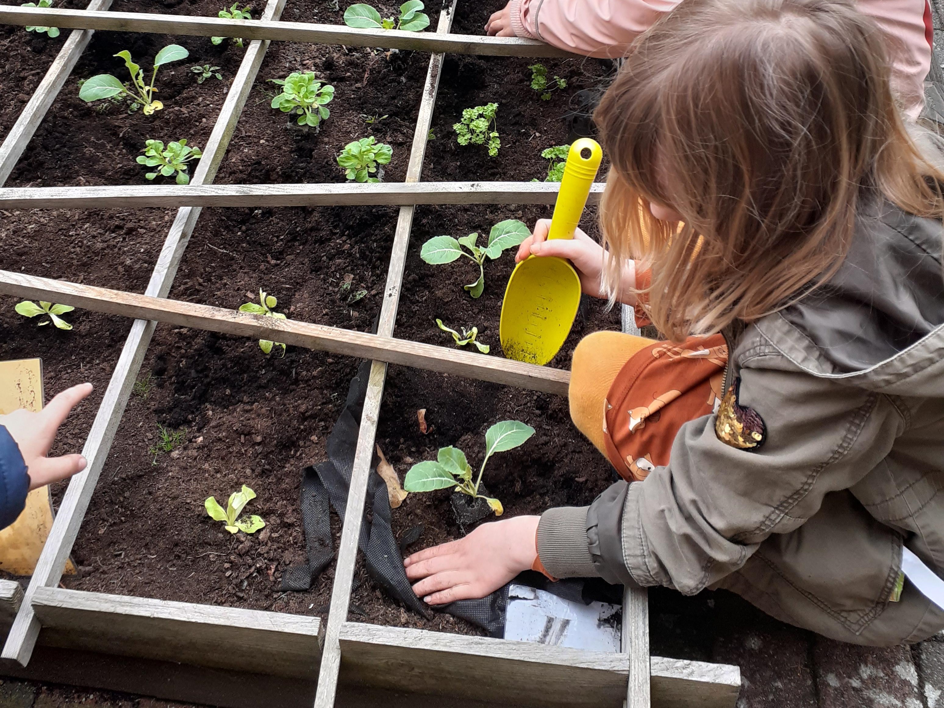 leuke activiteit voor kinderen