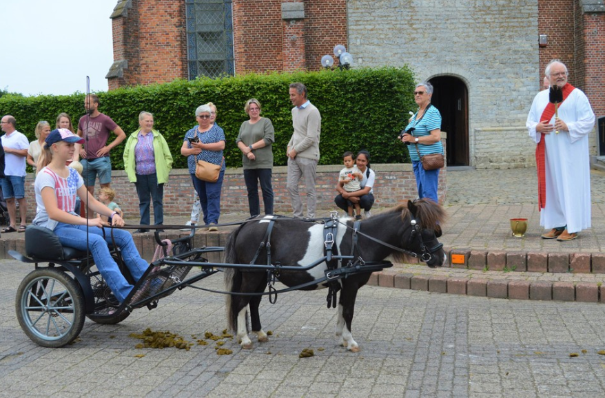 Dierenwijding