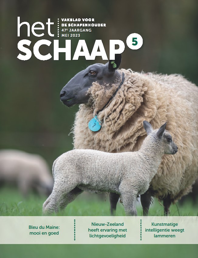 Korting vakblad het Schaap foto website schapen