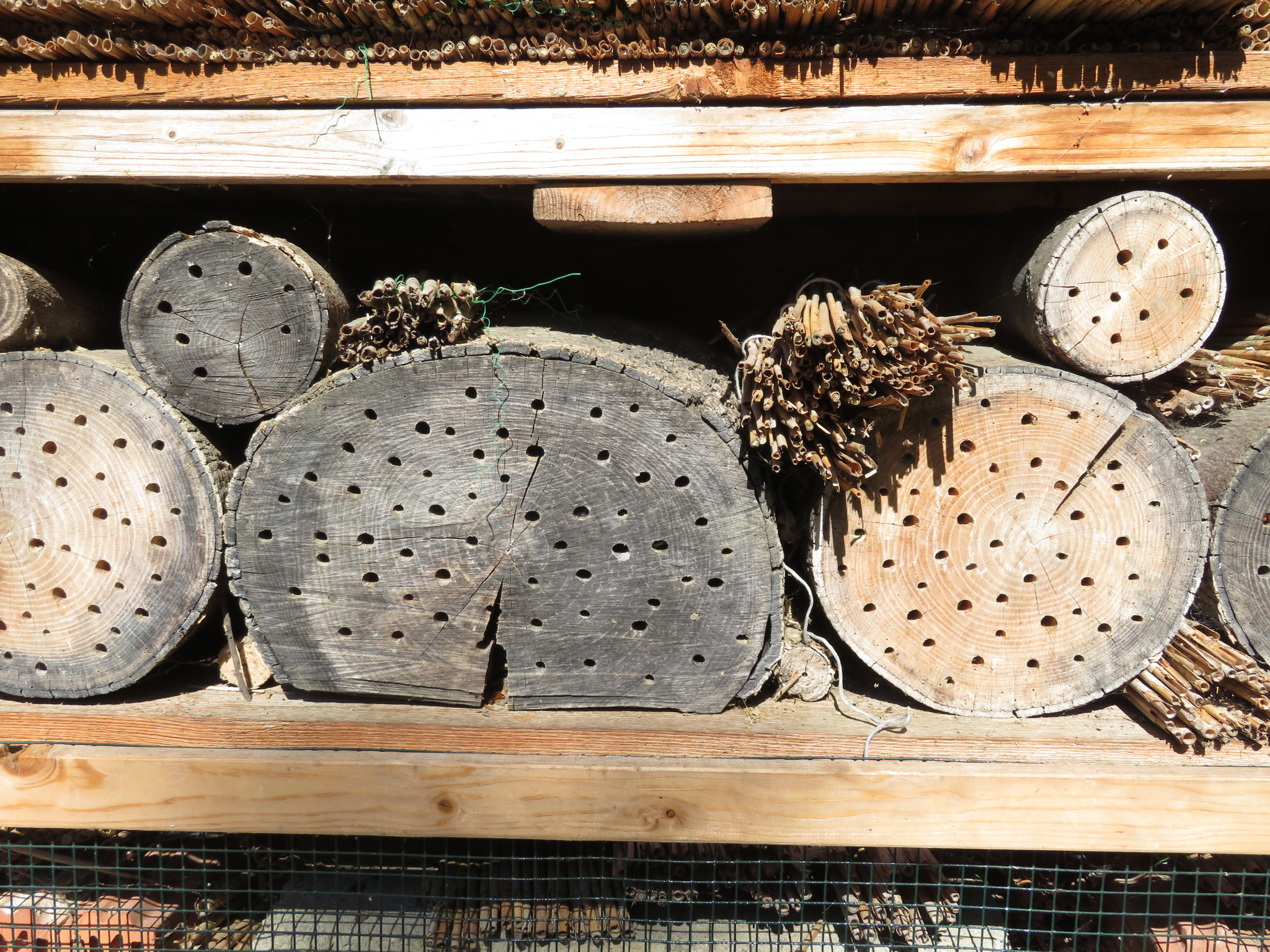 insectenhotel