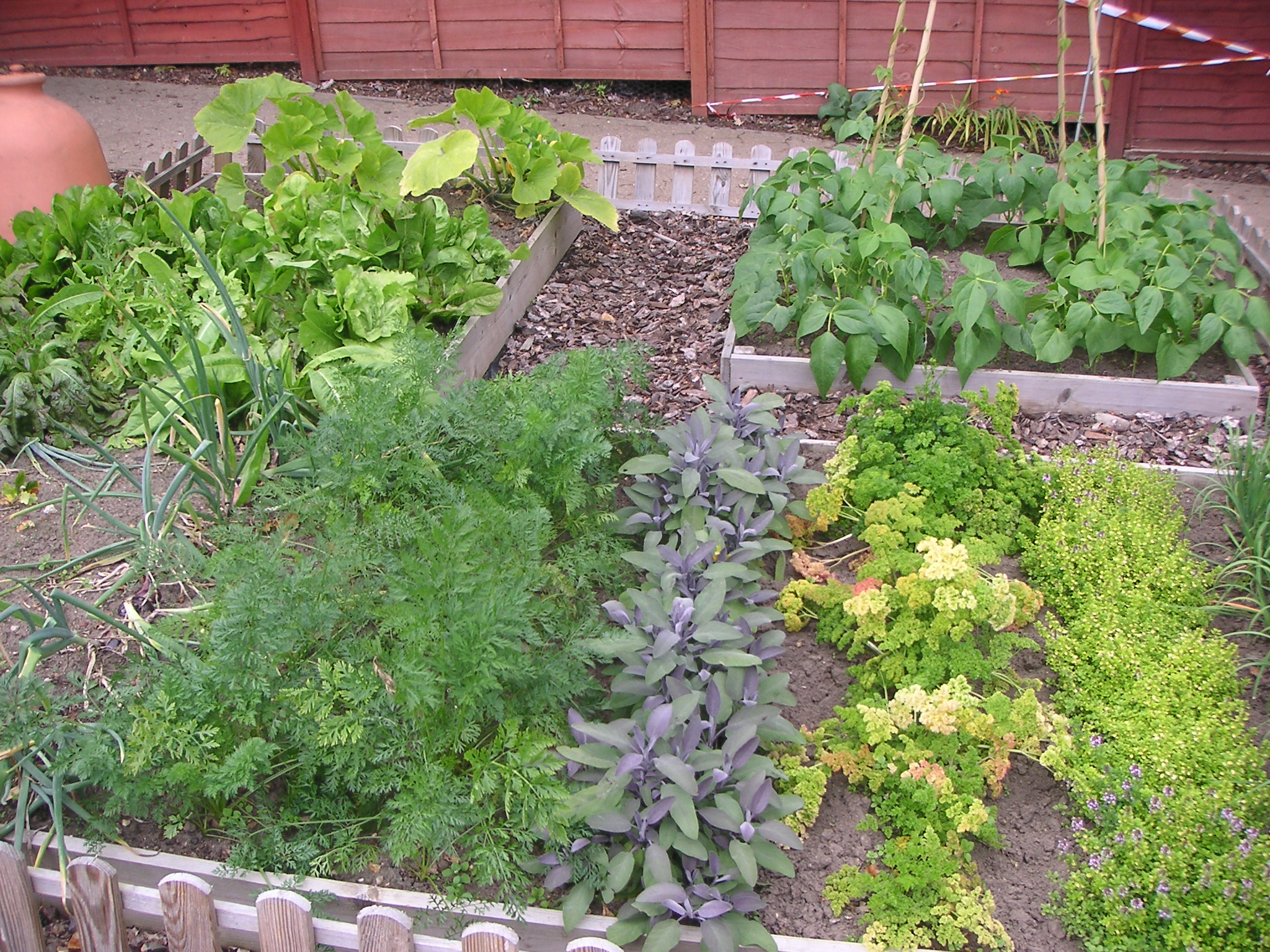 kleine moestuin