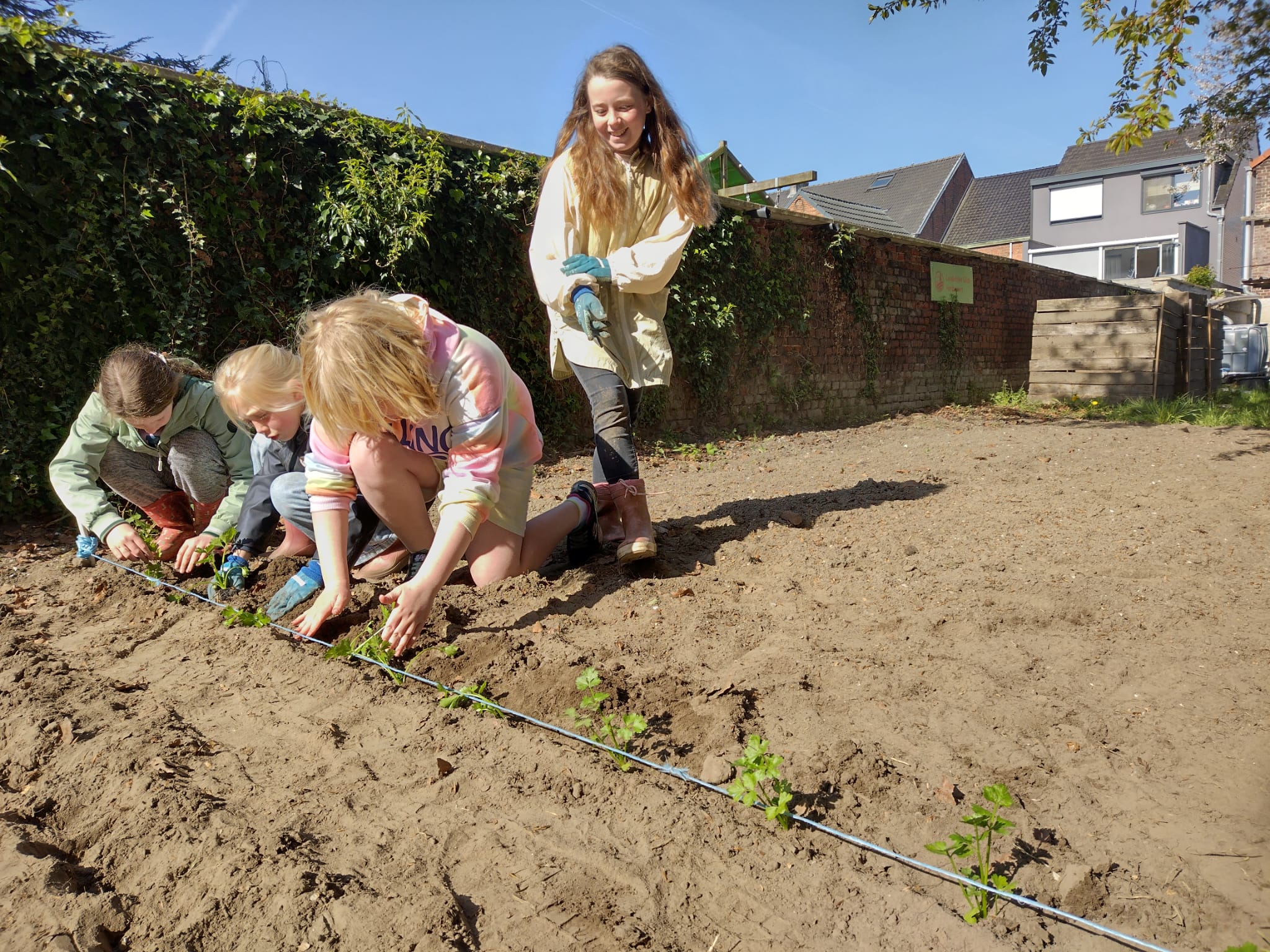 aan de slag in een schooltuin