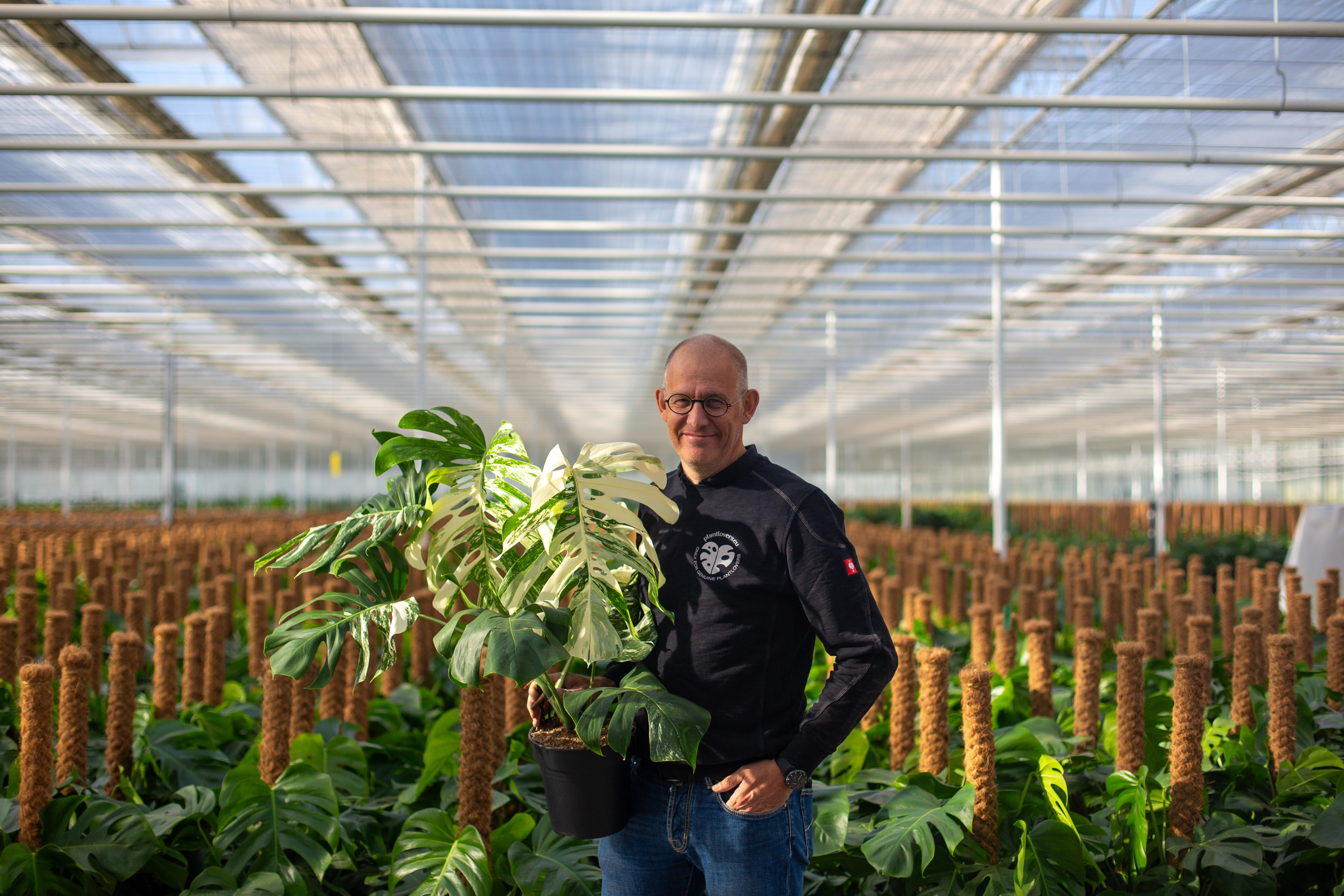 Dirk van monsterakwekerij Mermans met Monstera Variegata
