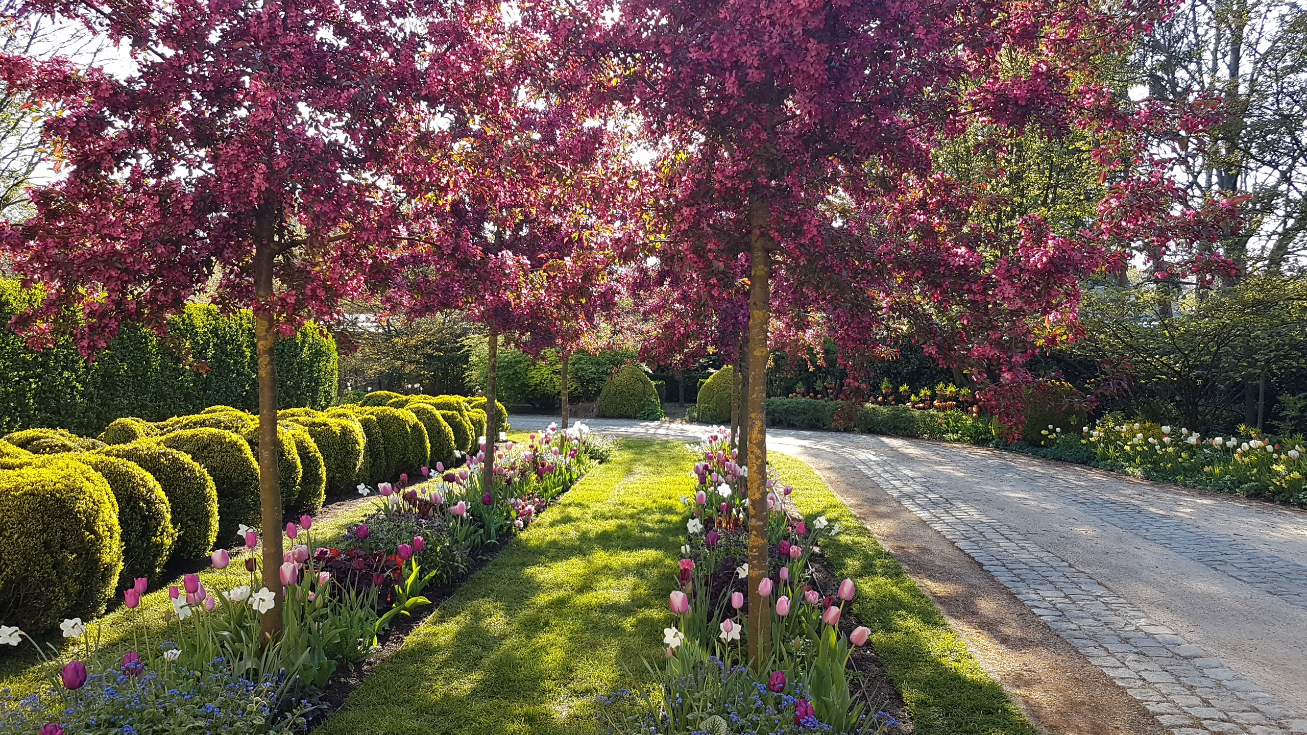 Tuin op de achtergrond