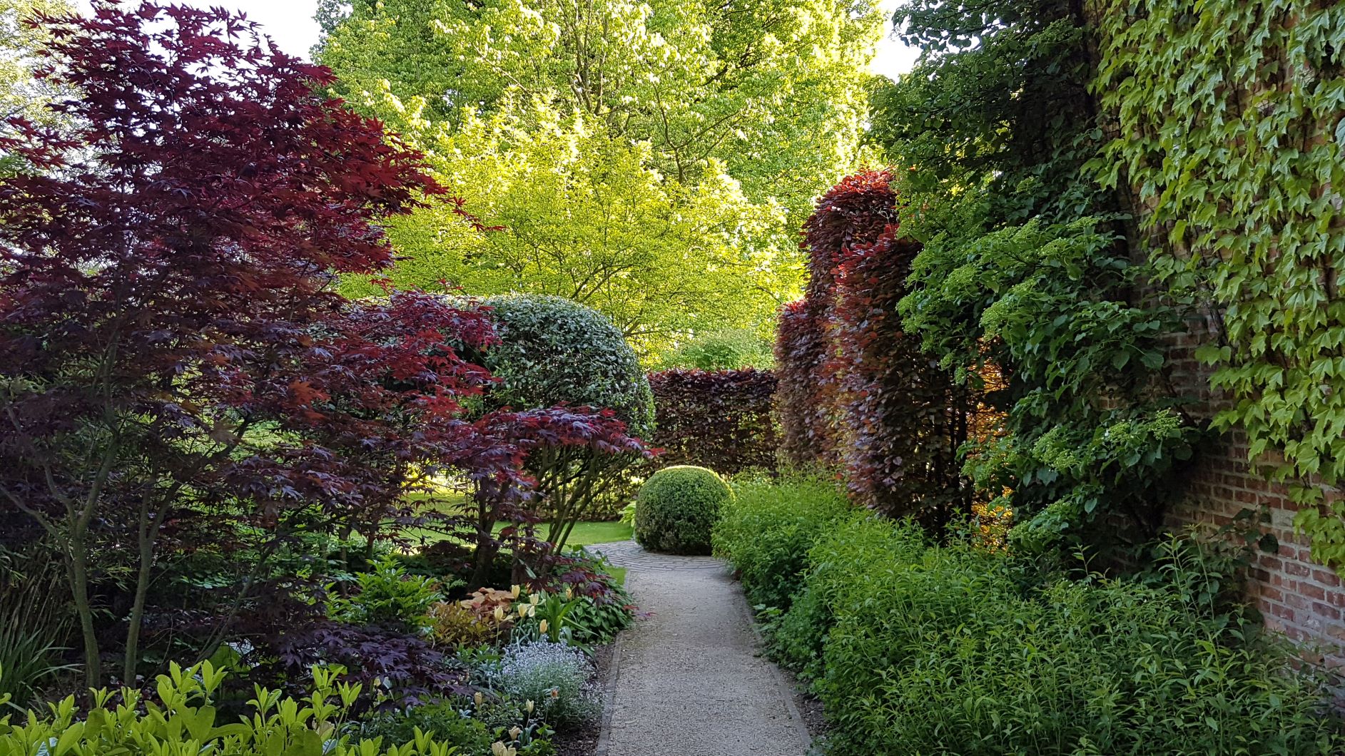 Tuin op de achtergrond