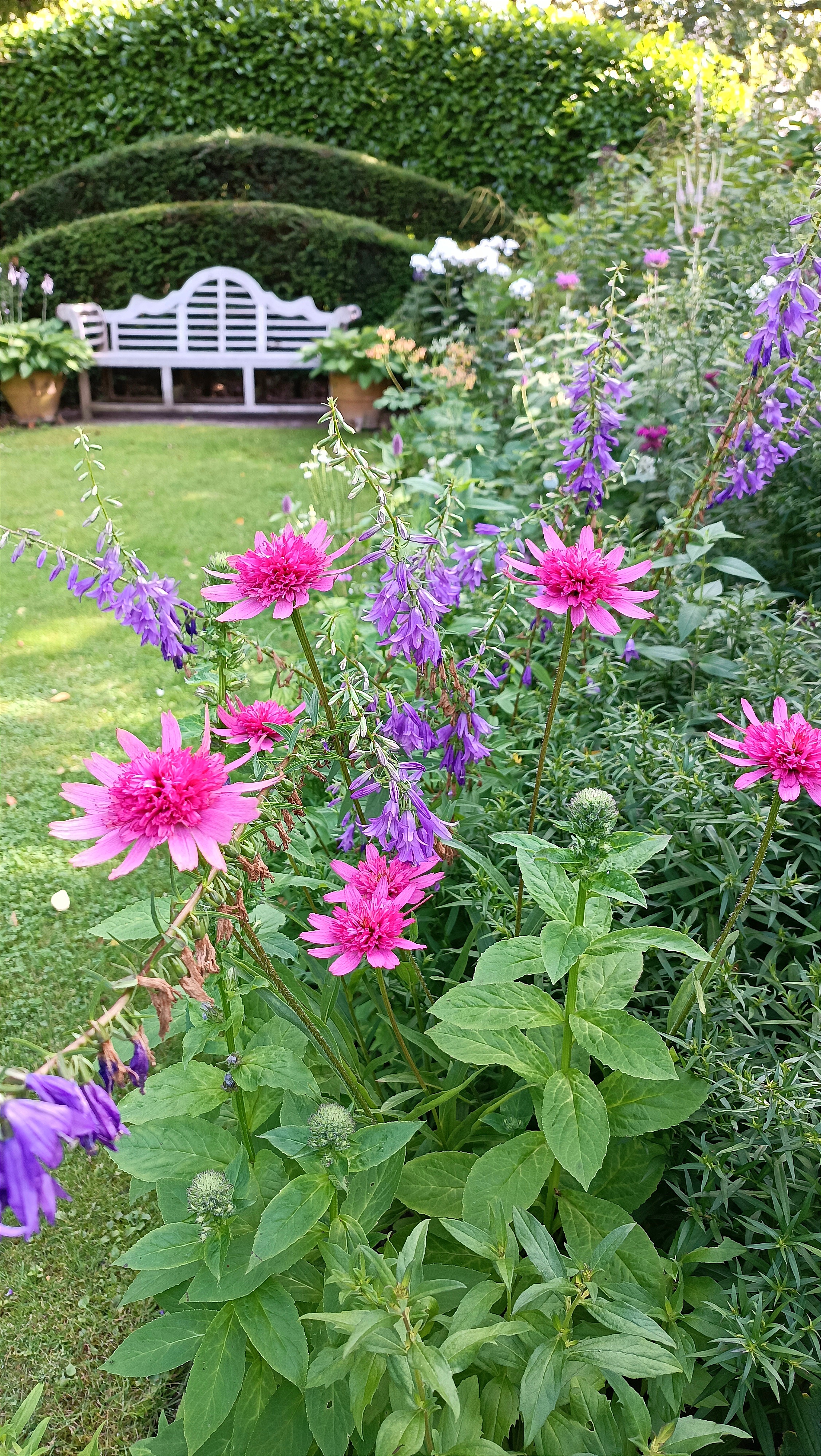 Tuin op de achtergrond