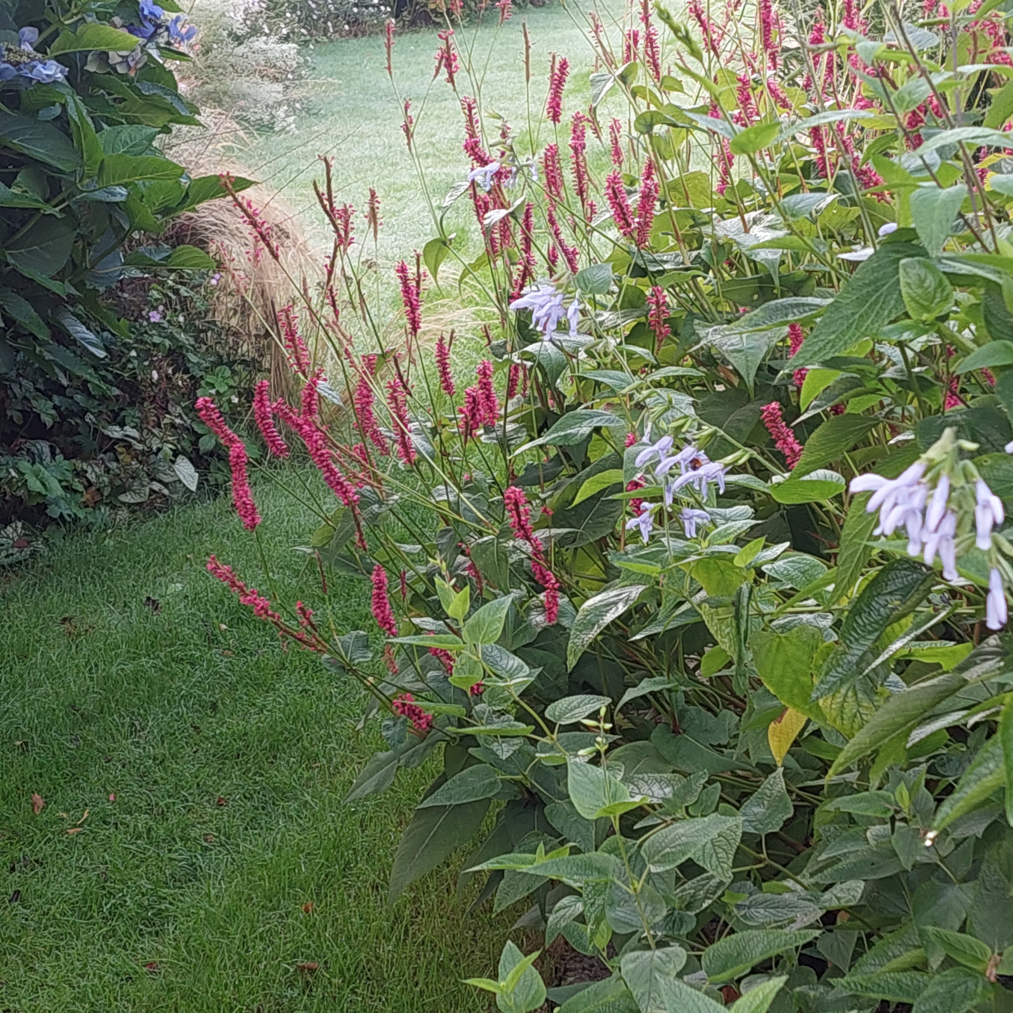 Tuin Vanheuckelom