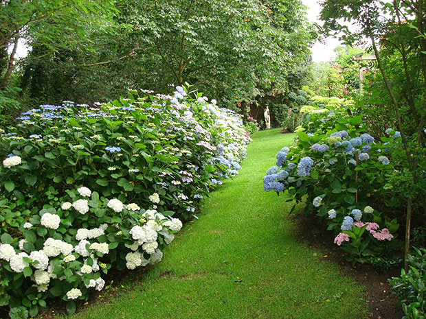 Tuin Van Loock