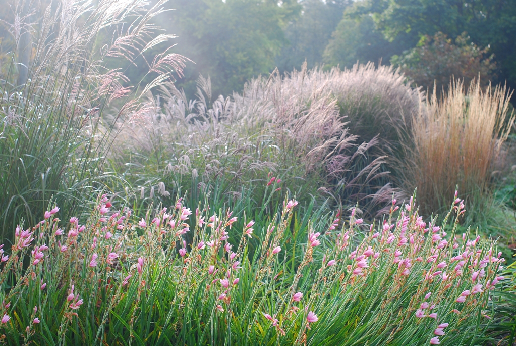 Arboretum Het Leen