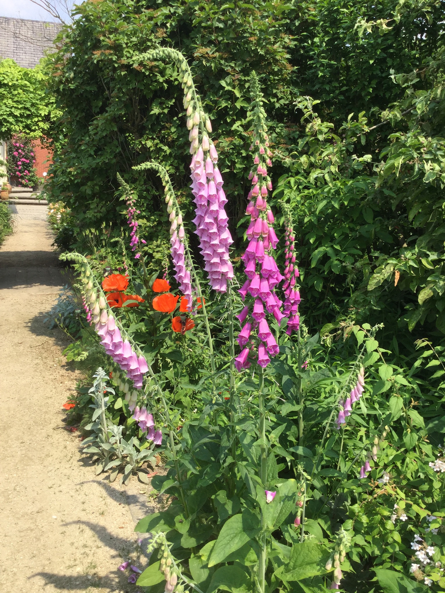 Open Tuinen Ouderits