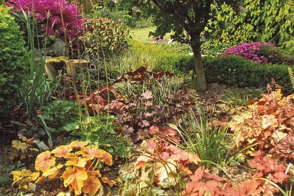 Tuin Bouwens - Dom