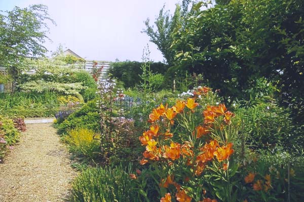 Tuin Bouwens - Dom
