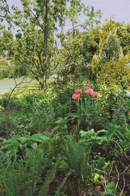 Tuin Bouwens - Dom