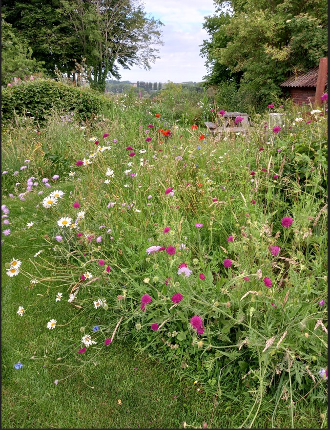 tuin Steven De Bruycker