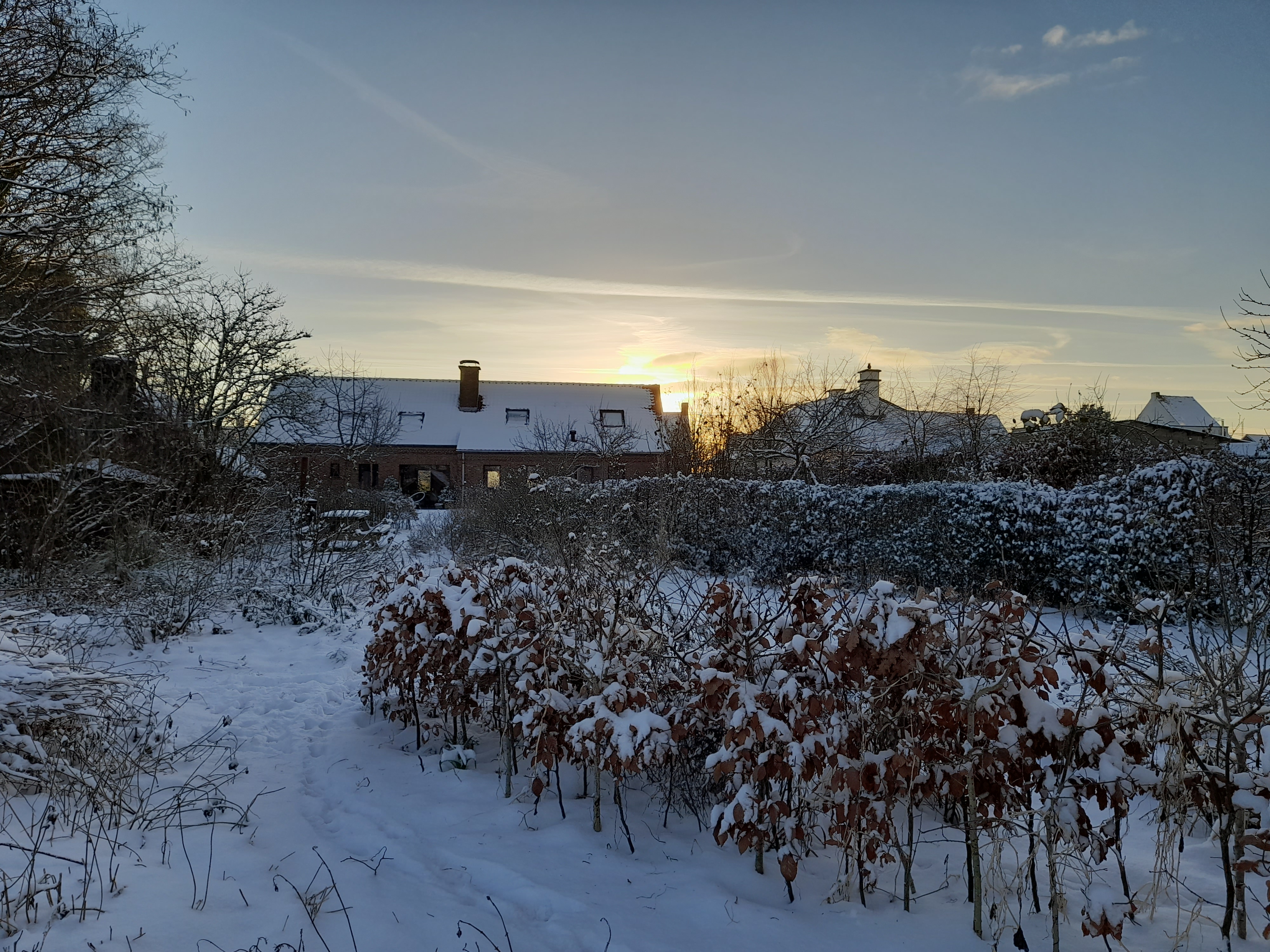 tuin Steven De Bruycker