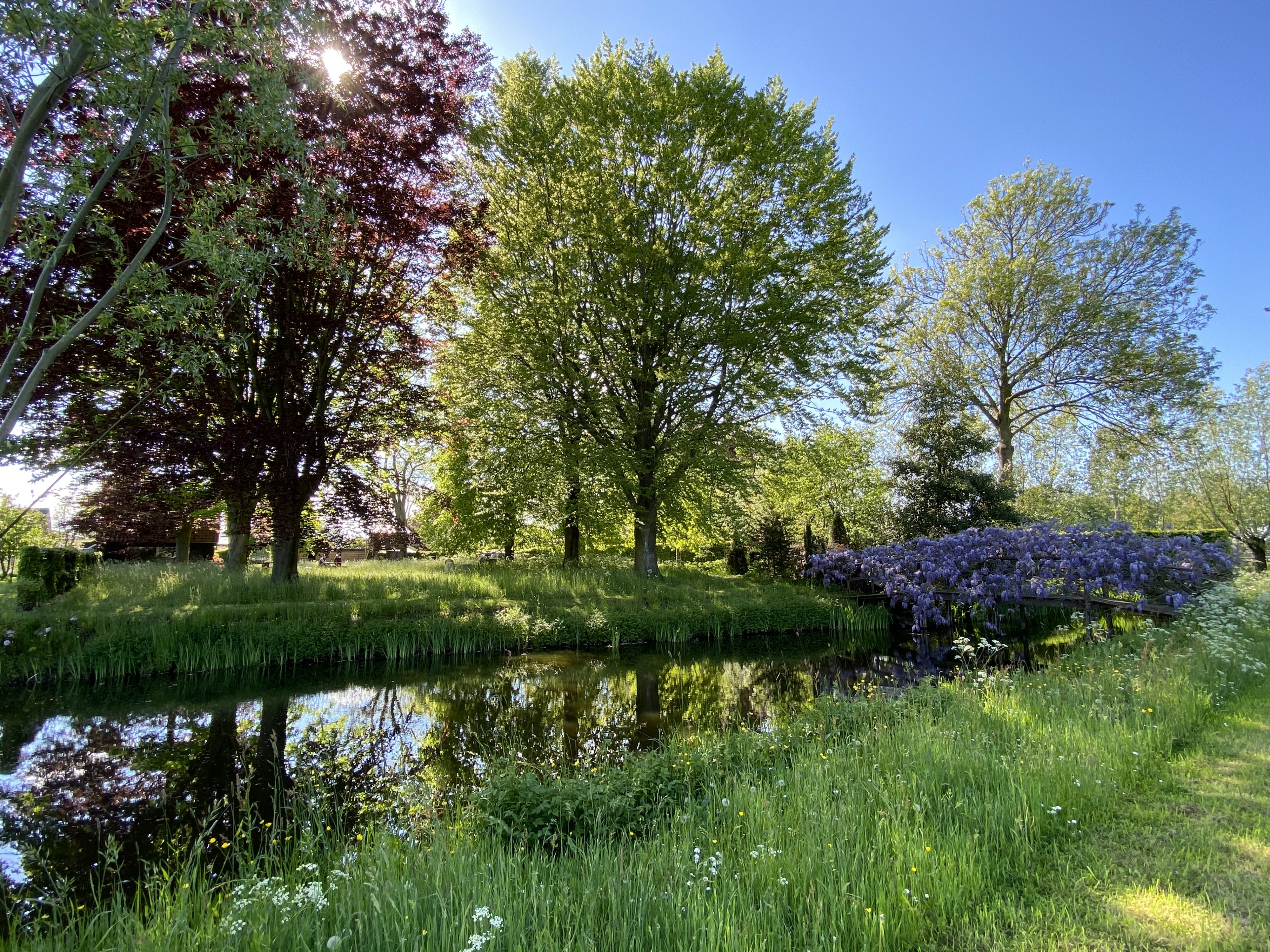 tuin De Cauwer André