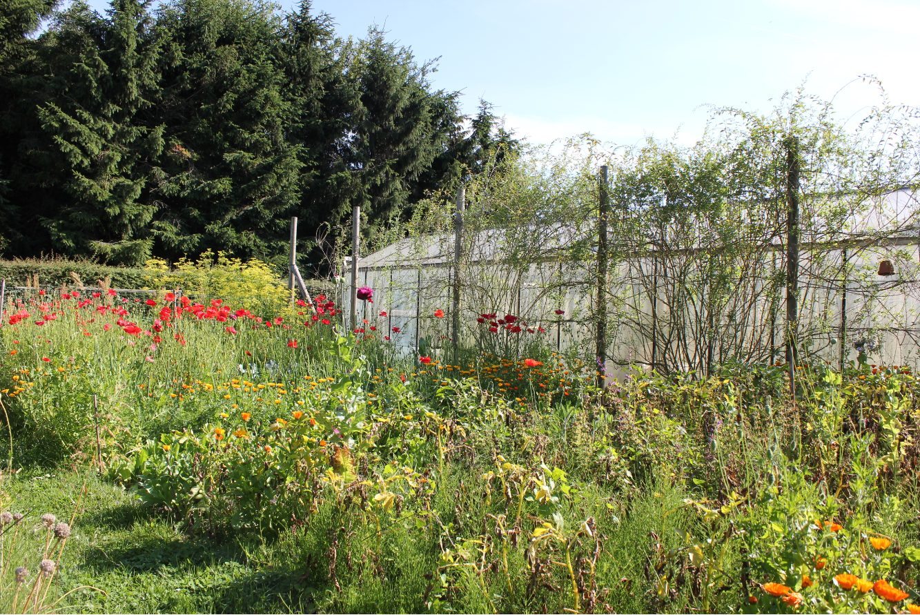 tuin Sarah De Geyter