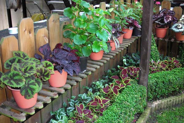 tuin Hilaire De Vos