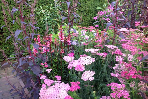 Tuin Hazelhof