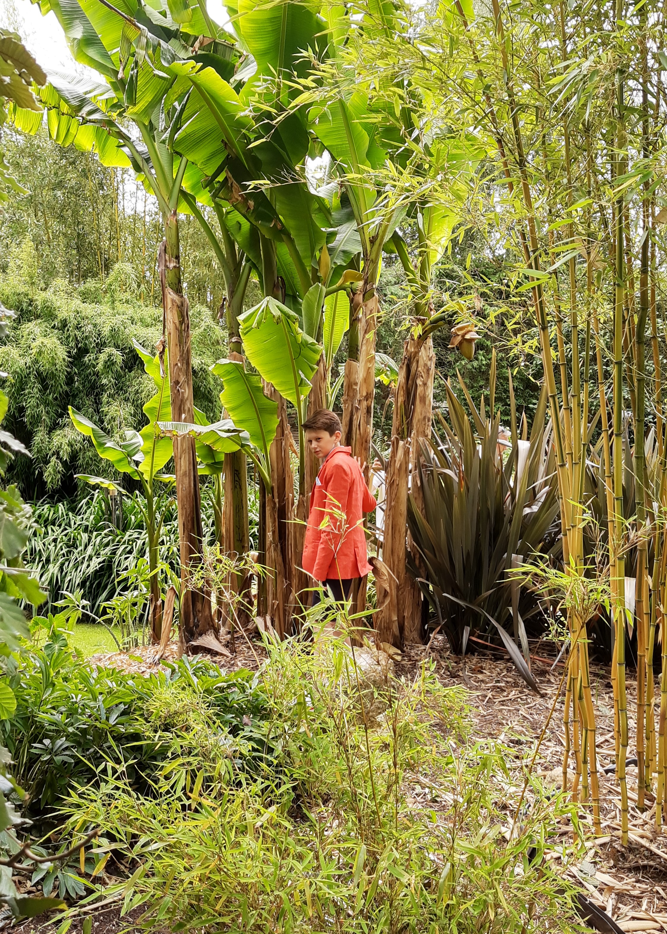 Tuin Sempre Verde