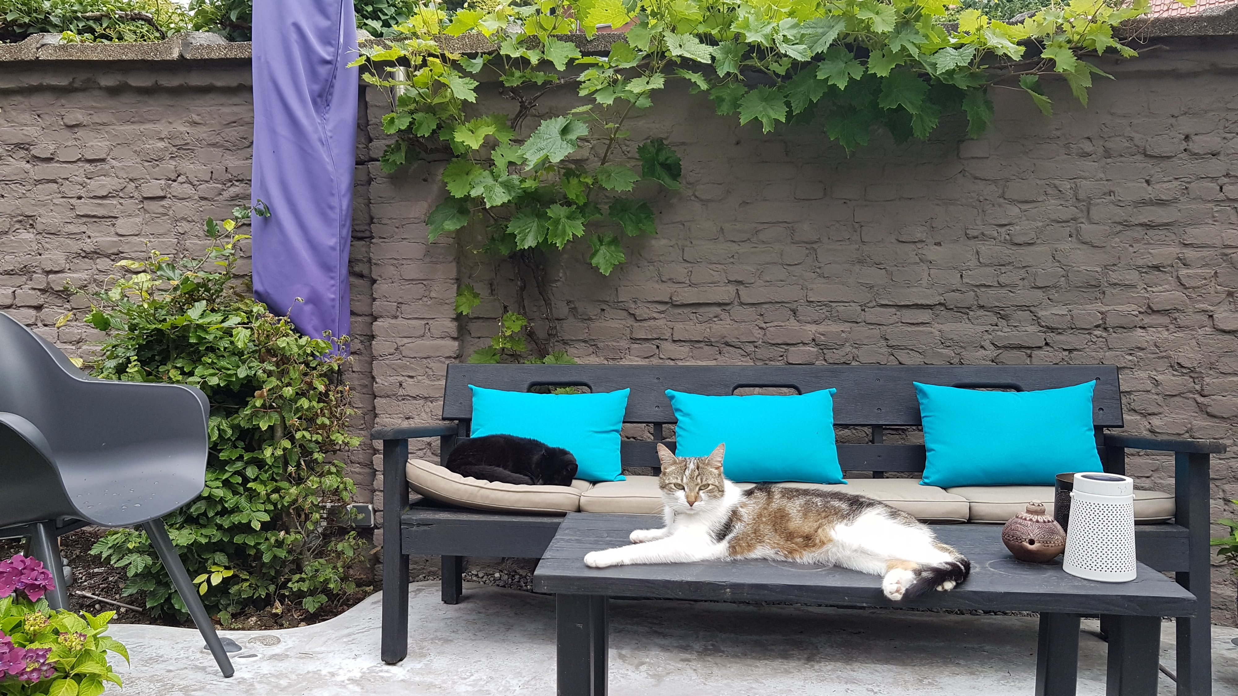 Tuin Ben en Sander