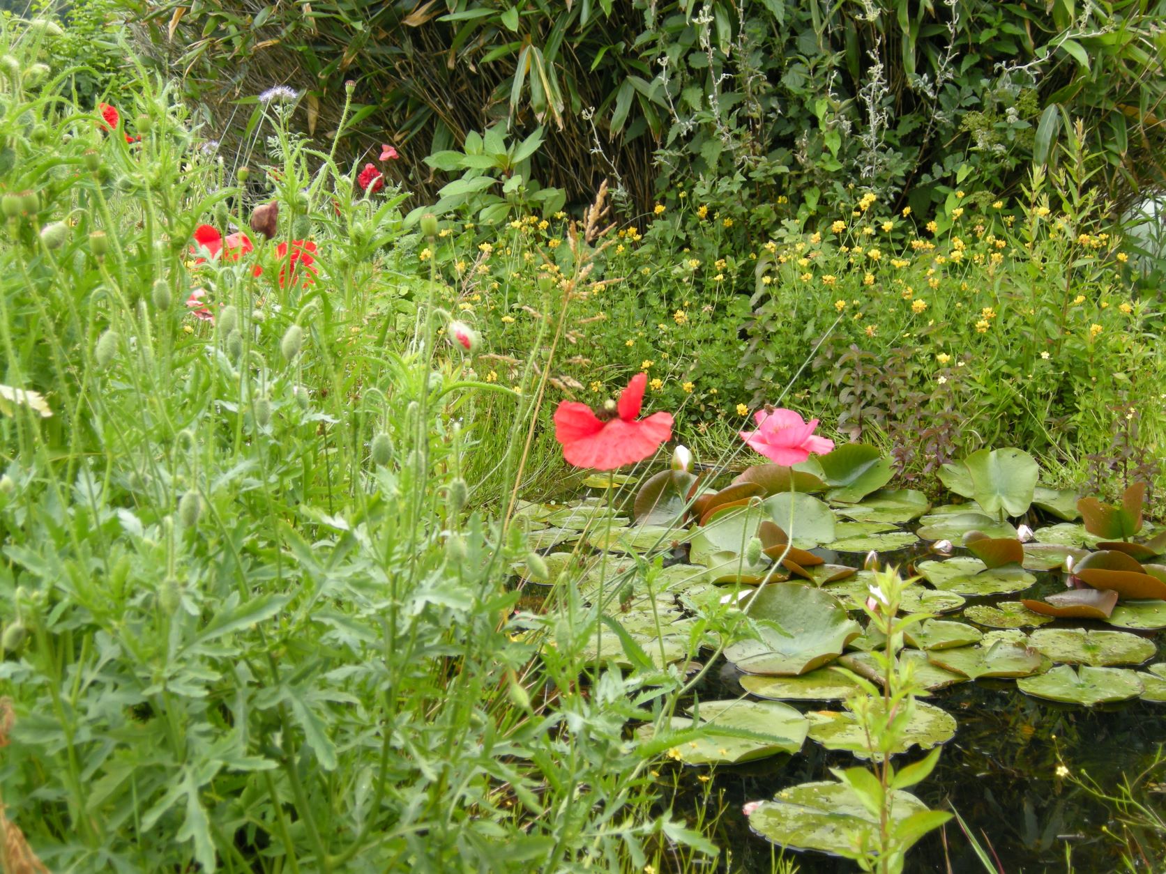 Tuin Kerkhof Dekkers