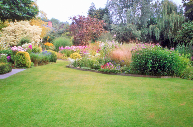 Tuin Meyers - Plompen