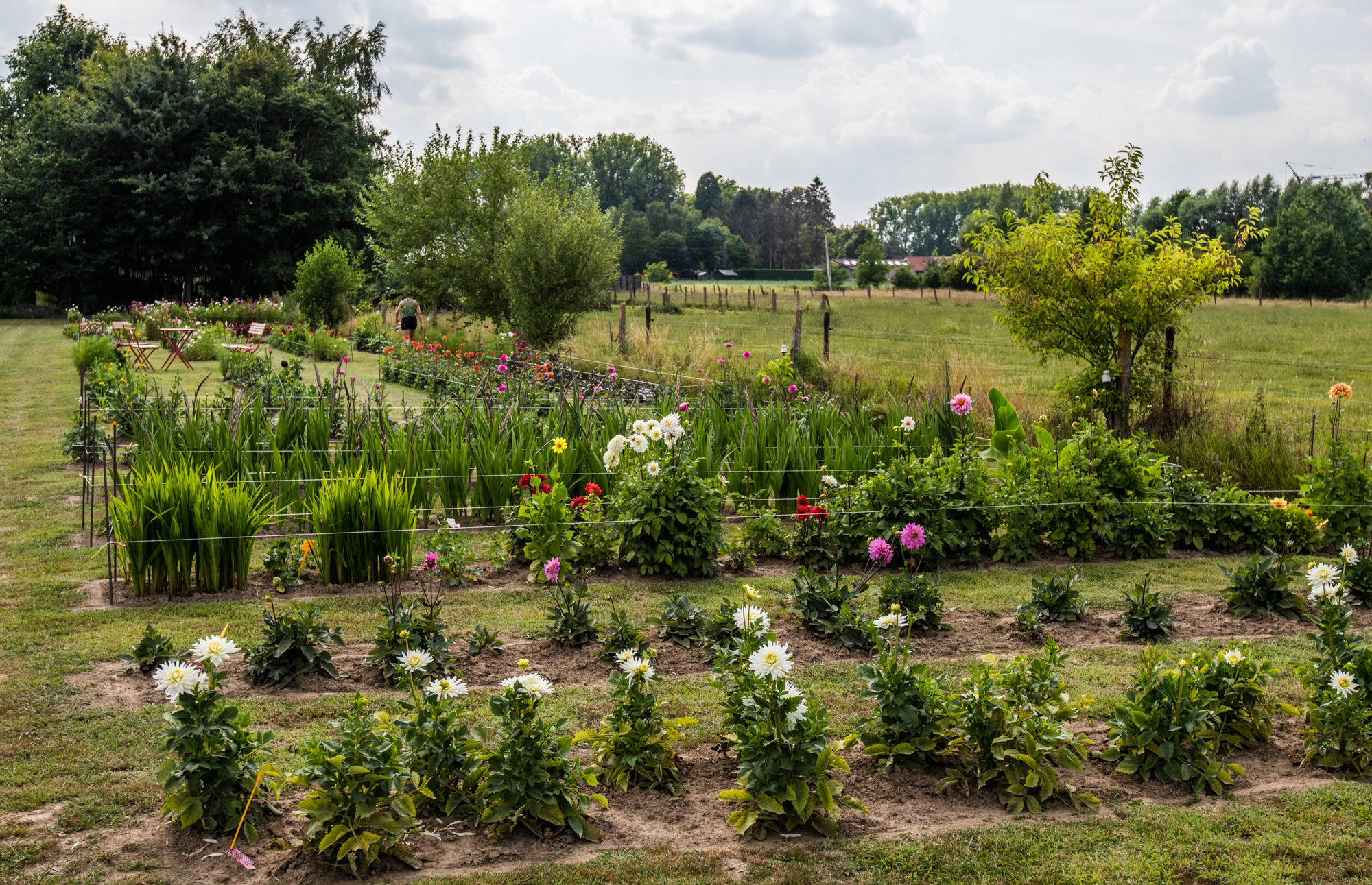 tuin Minnaert-Annaert