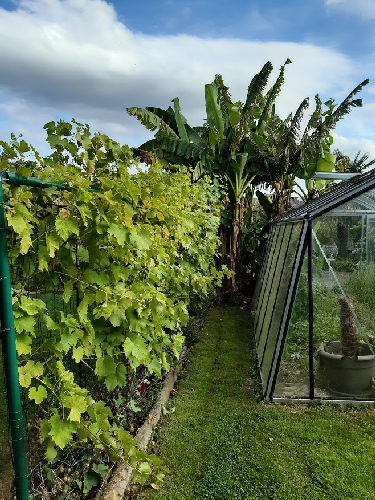 tuin Filip Moortgat