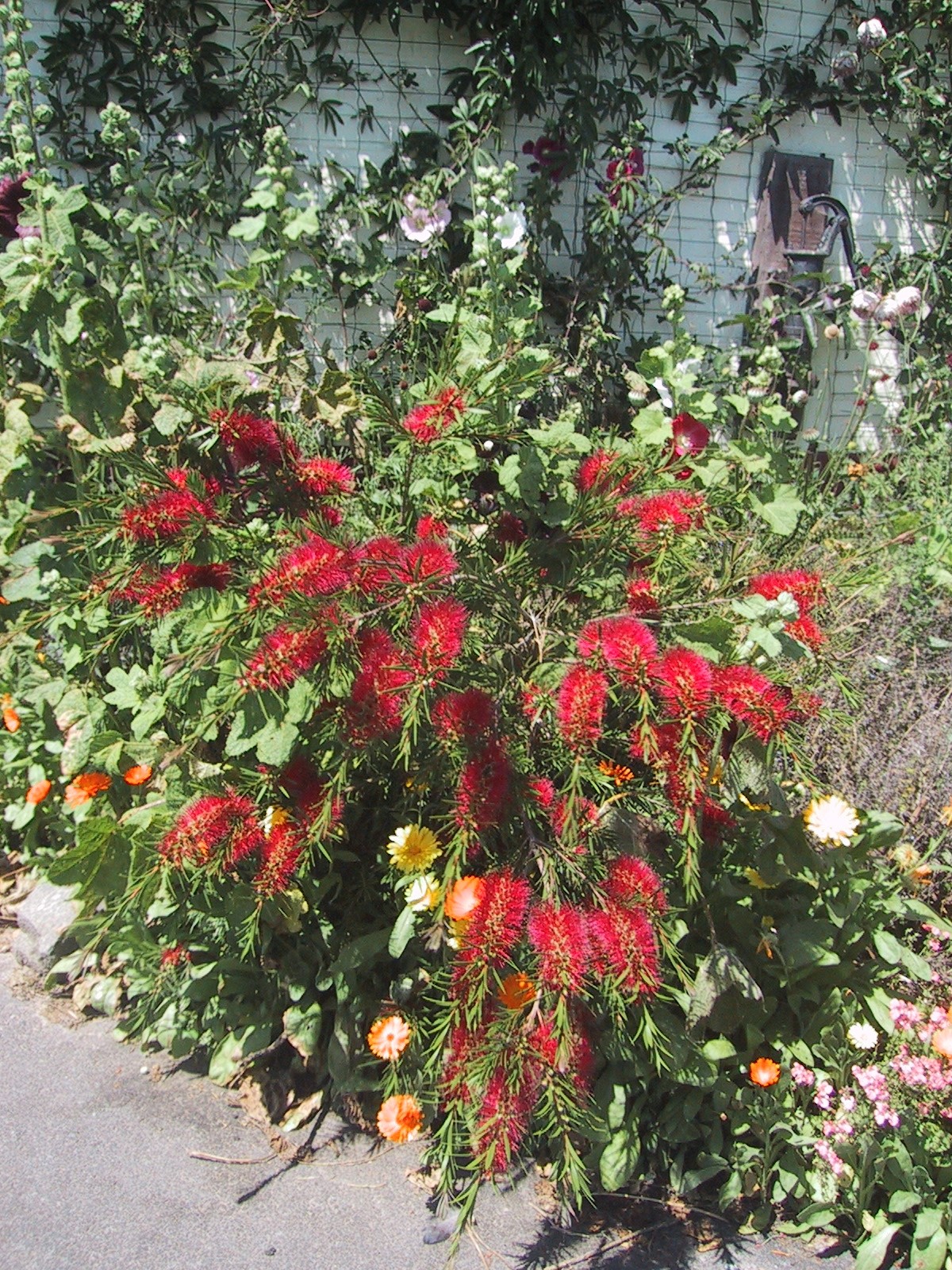 tuin Filip Moortgat