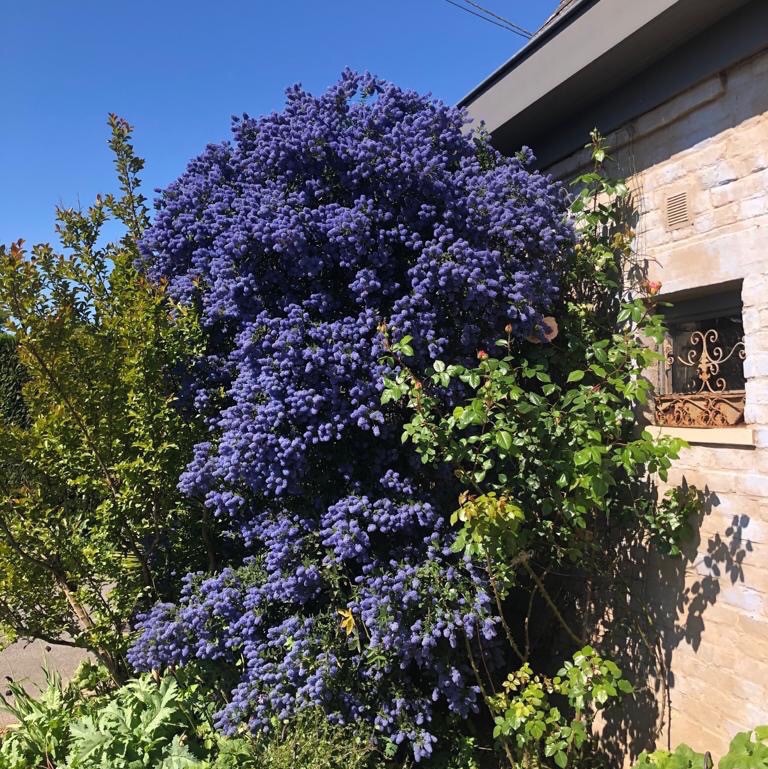 tuin Filip Moortgat