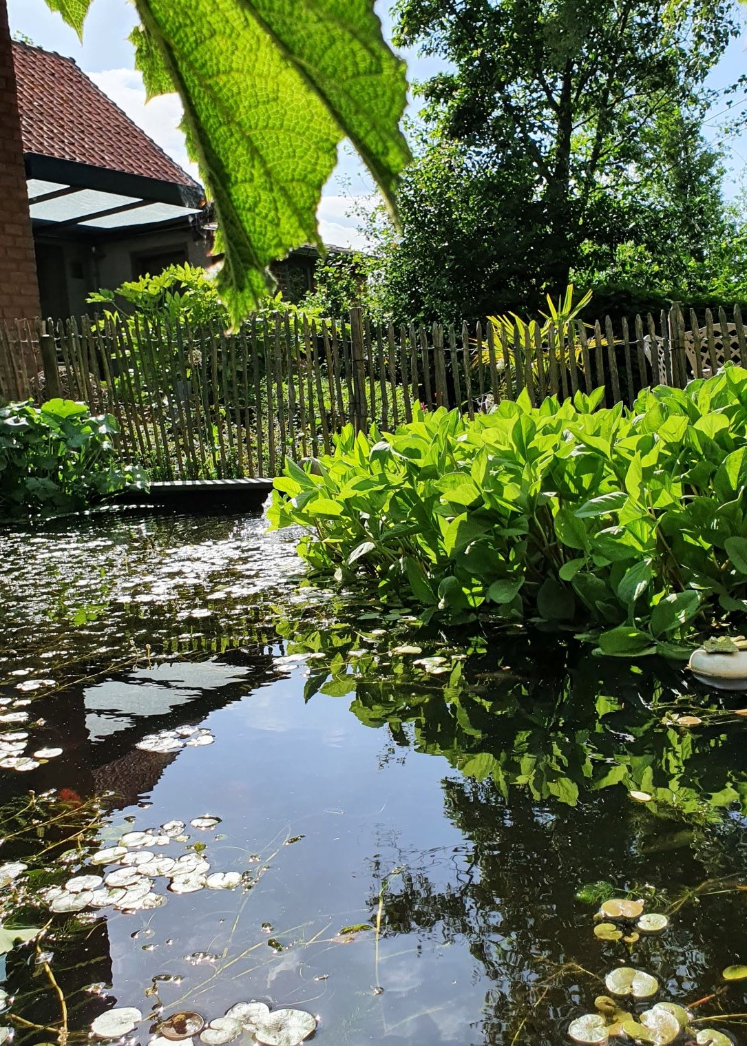 Open Tuinen Patteeuw