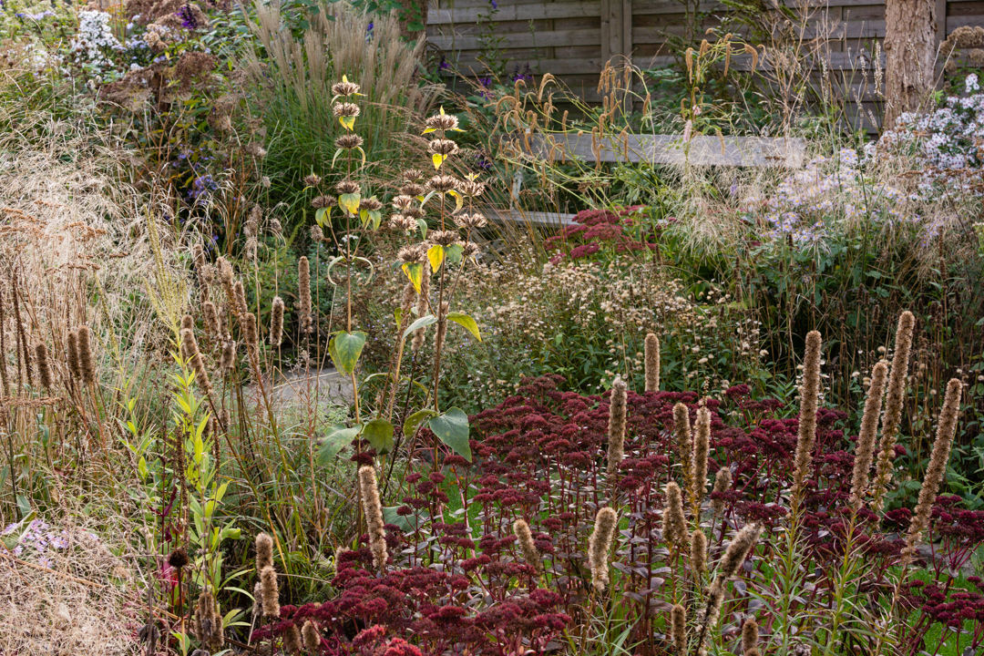 Tuin Rasschaert