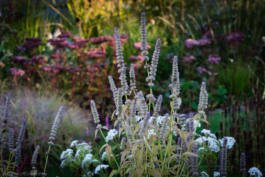 tuin Rasschaert-Hebberecht