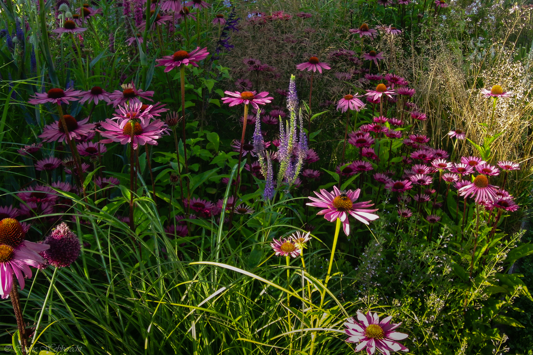 tuin Rasschaert-Hebberecht