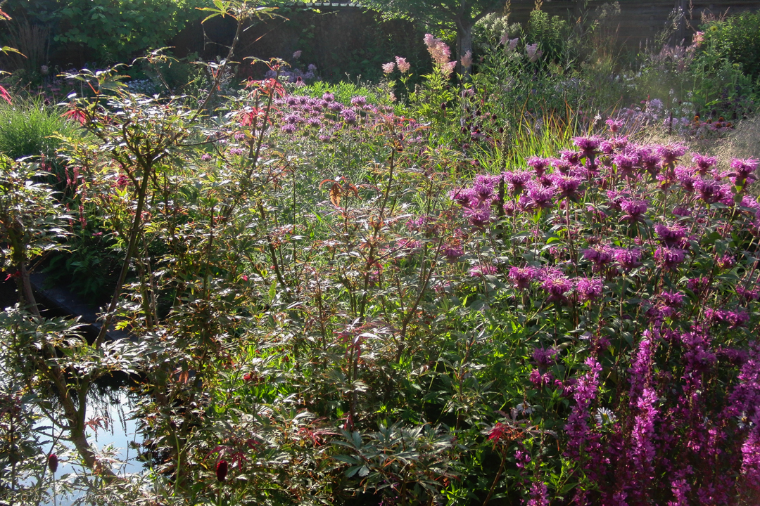 tuin Rasschaert-Hebberecht
