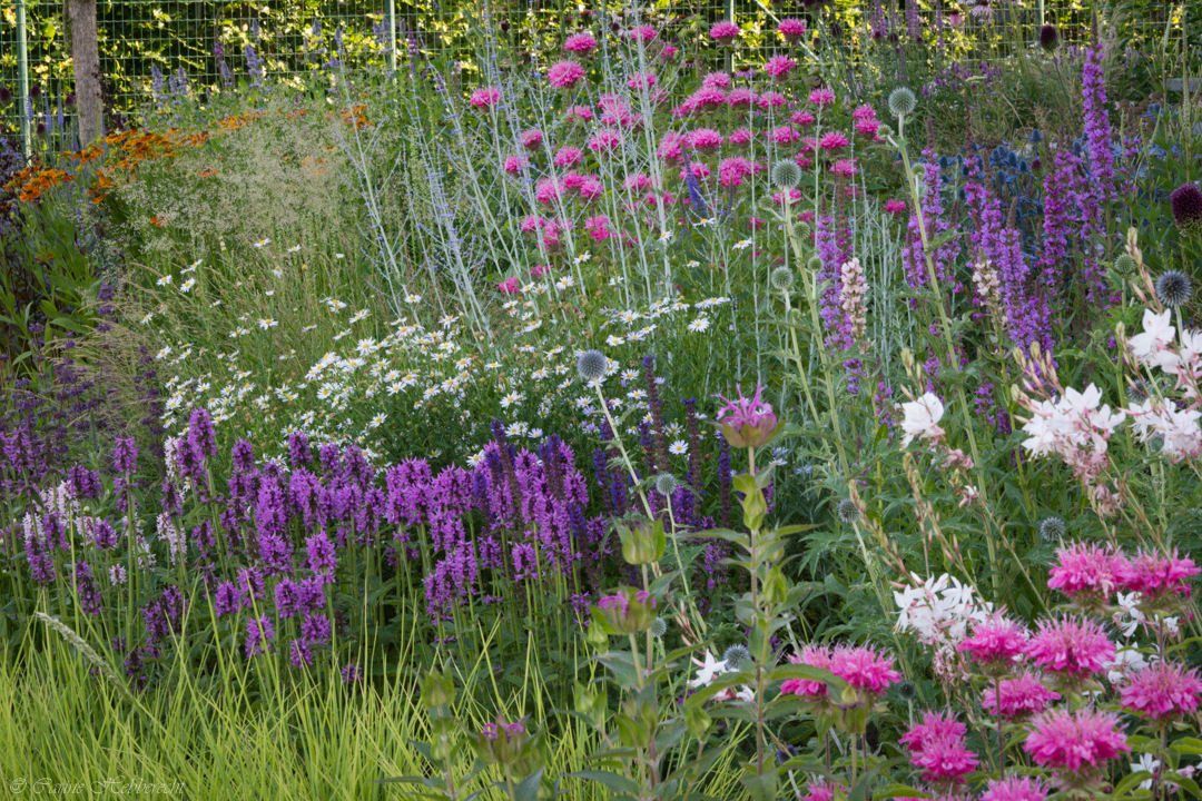 tuin Rasschaert-Hebberecht