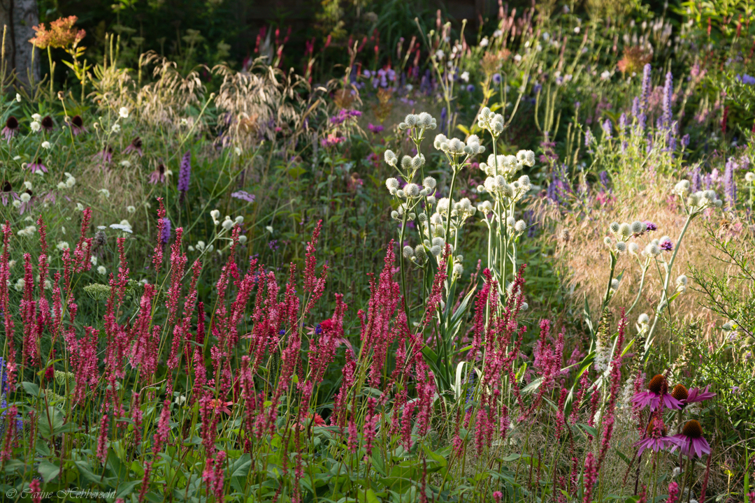 tuin Rasschaert-Hebberecht