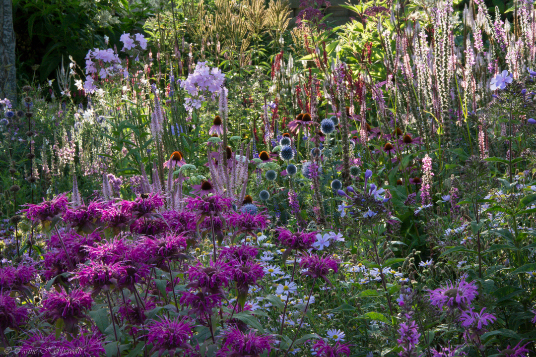 tuin Rasschaert-Hebberecht