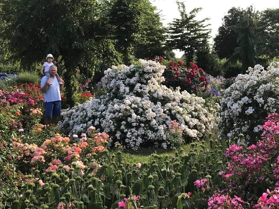 Tuin Luc Van Esser