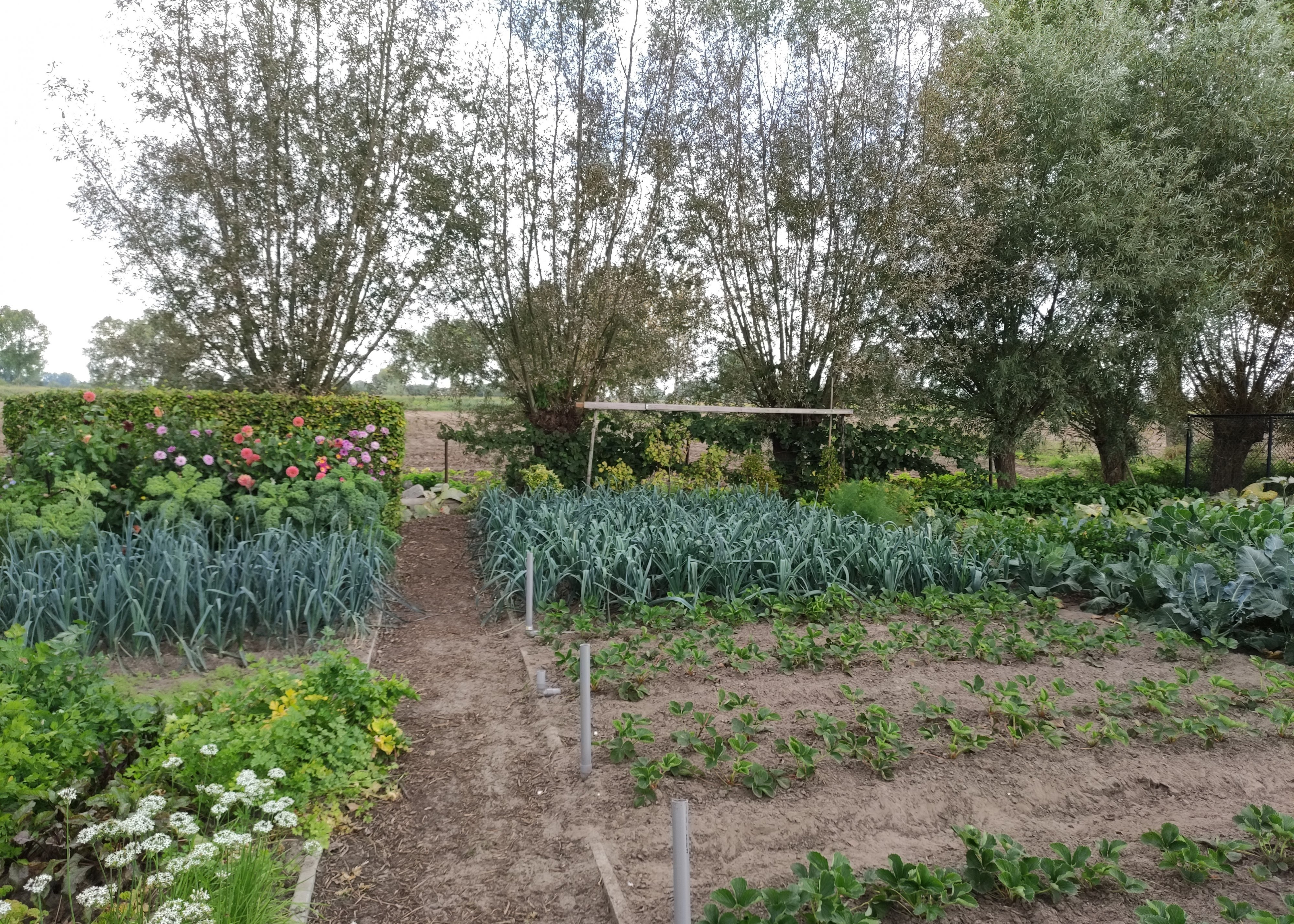 tuin Dirk Stuer