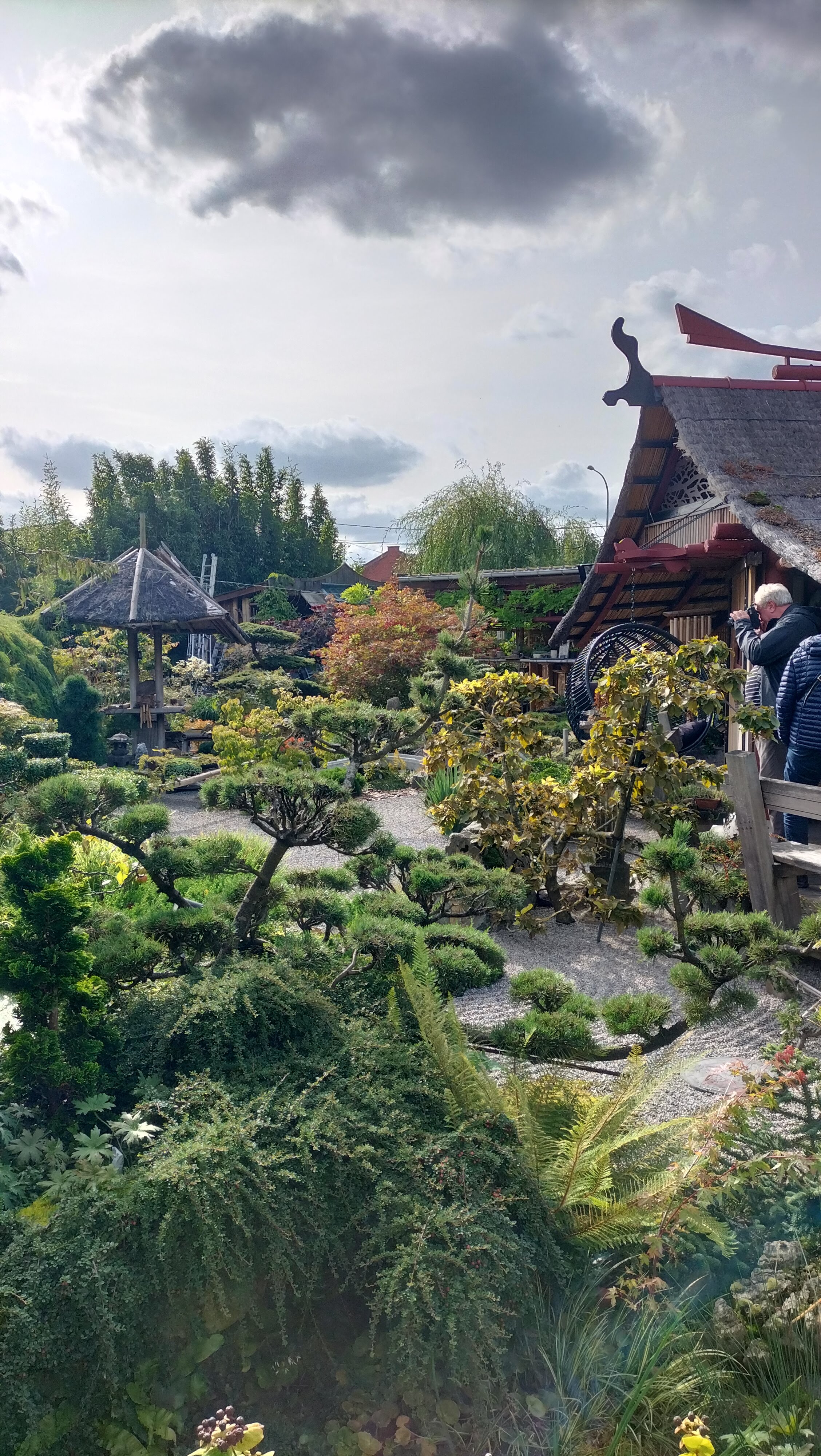 De Oosterse watertuin