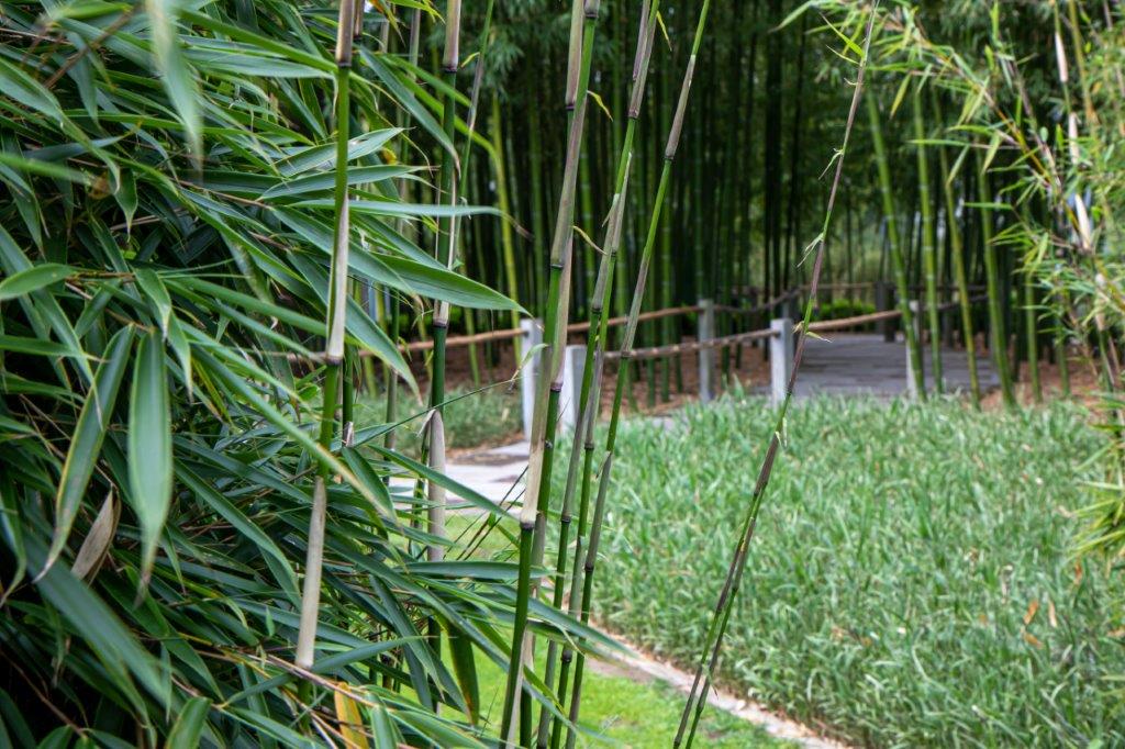 tuin Erik Van den Berghe