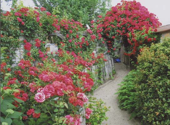 Tuin &#039;t verborgen Paradijs