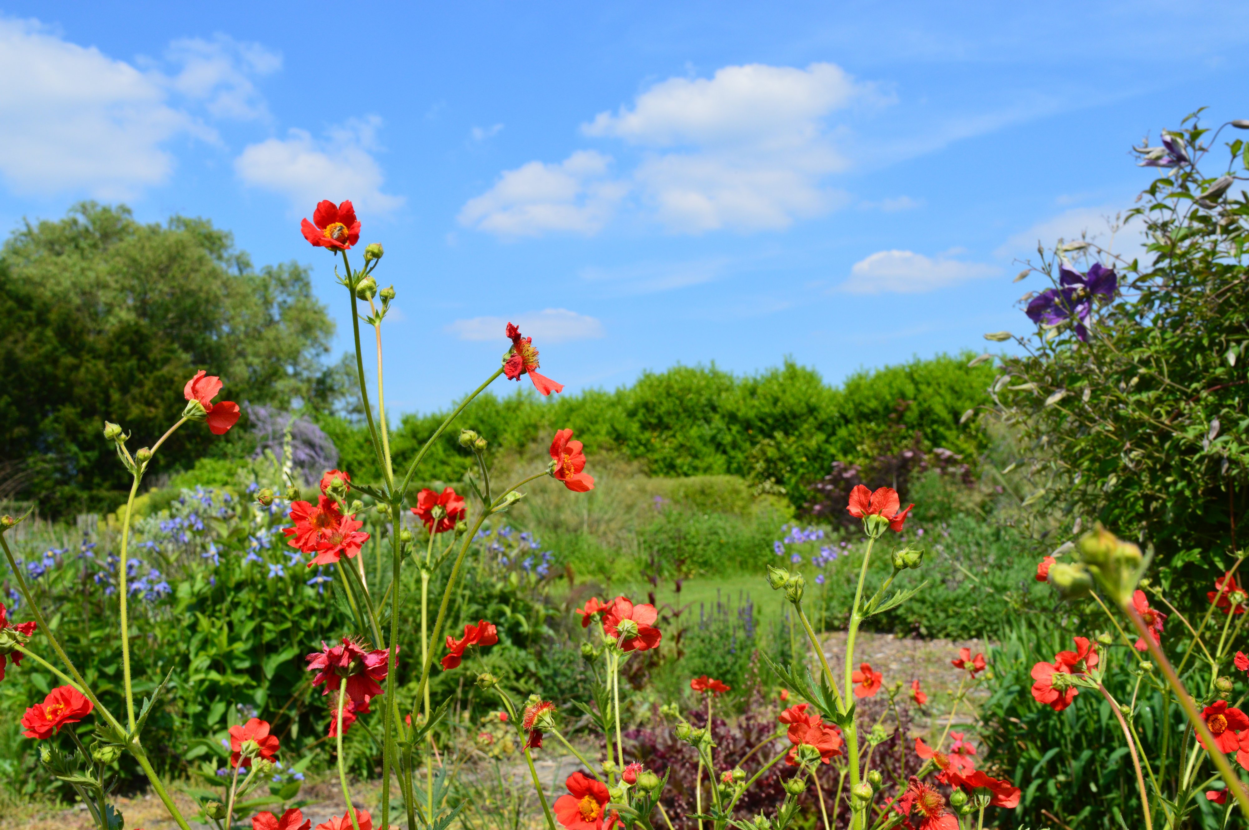 Tuin Vandendael